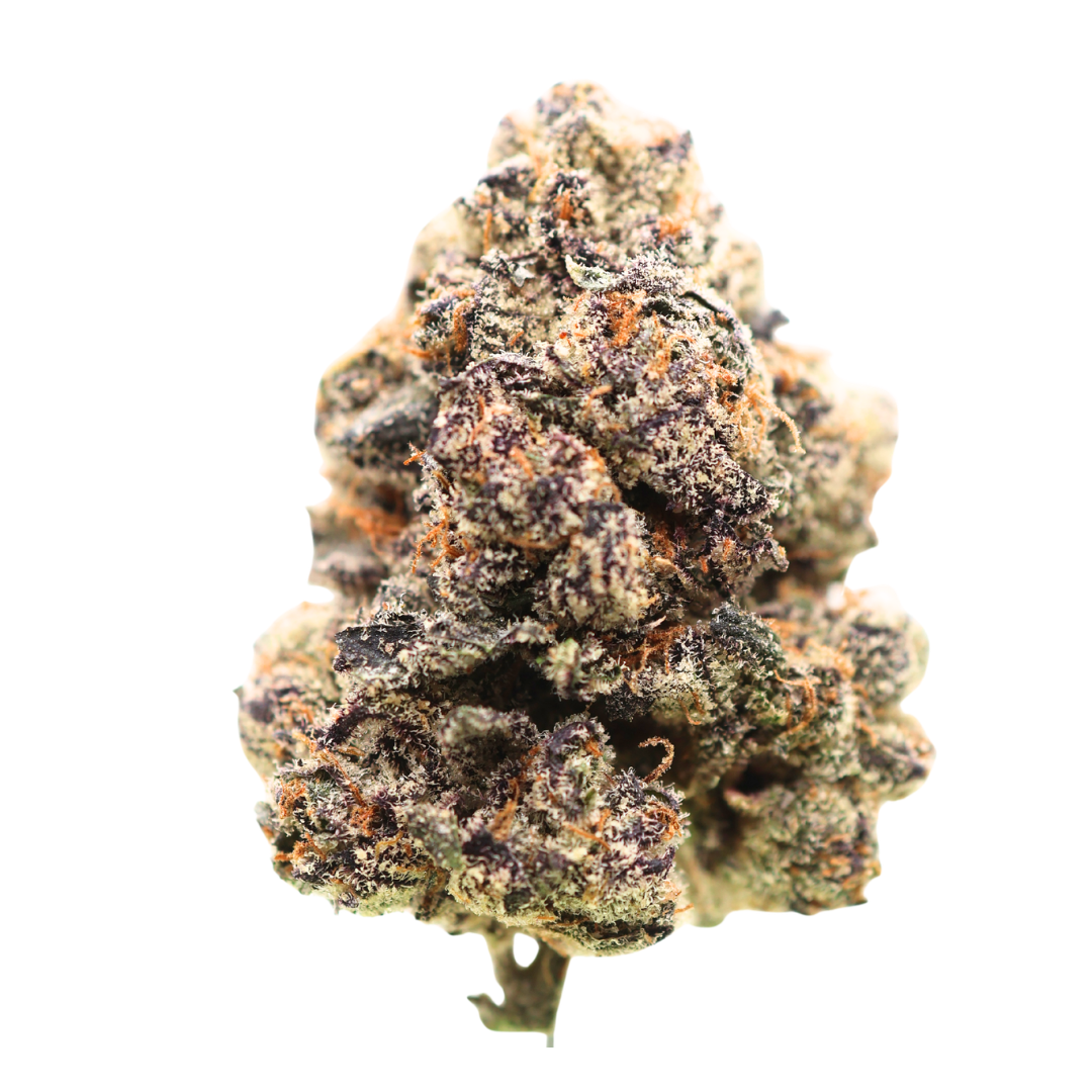 π #1 Karma Cup: AAAA Purple Gusher