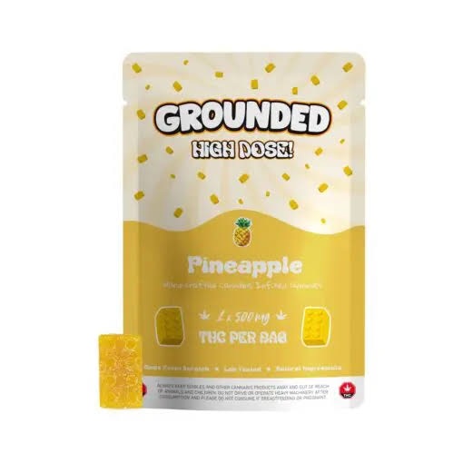 Grounded High Dose Bricks – 500mg Gummy - Image 2