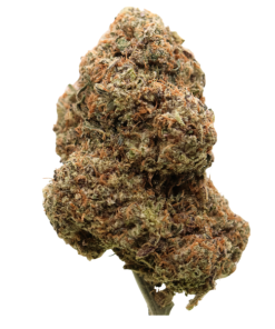 AAAA Purple Medocino