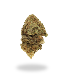 (A) Tangerine Dream: Ounce Deals + Freebies