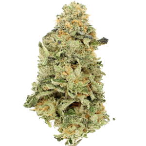 AAA+ MK Ultra