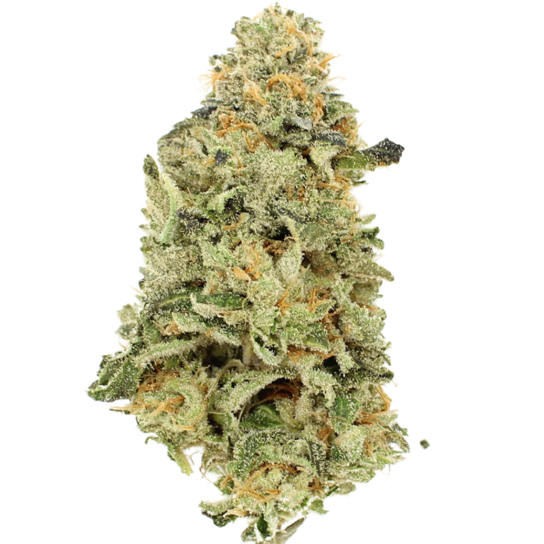 AAA+ MK Ultra