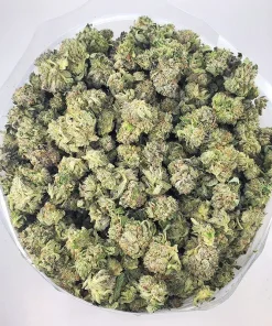AA Northern Lights Smalls