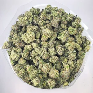 AA Northern Lights Smalls