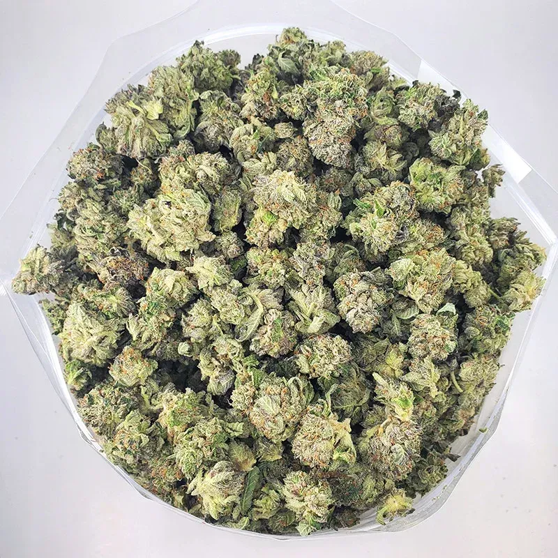 AA Northern Lights Smalls