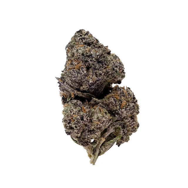 Hybrid flower